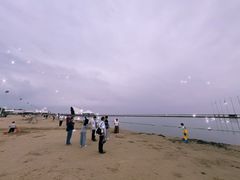 -碧海金沙