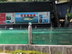 -天怡·鱼工厂(梅溪湖店)