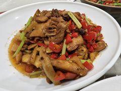 -猫窝棋牌(尚大国际店)