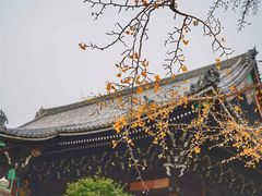 -清凉寺