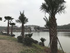 -枫香湖儿童公园