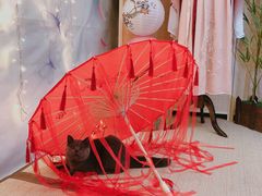 -第三空间·趣味桌游·轰趴.室内CS.剧本杀(大武汉1911店)