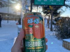 -北极村旅游风景区