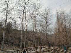 -白水寺森林公园