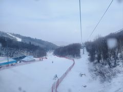 -亚布力新体委滑雪场