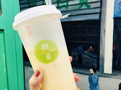 白玉杨枝甘露-树夏(锦里店)