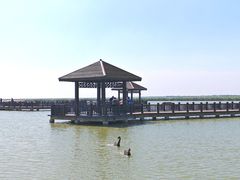 -南大港湿地风景区