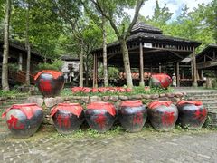 -姑婆山旅游区