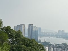 -福道