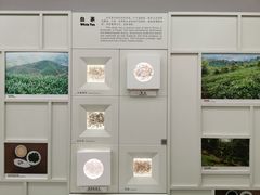 -中国茶叶博物馆(双峰馆区)