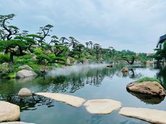 -罗红摄影艺术馆