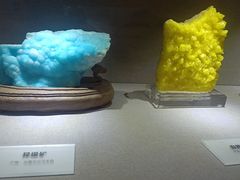 -陕西自然博物馆