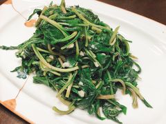 马兰头-丁老爷子苏香圆