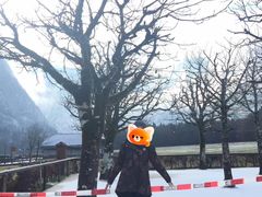 -柯尼希湖