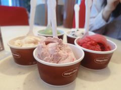 哈根达斯单球-哈根达斯(扬州瘦西湖店)