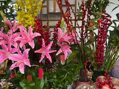 -净行天厨(莲塘总店)