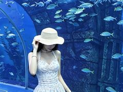 -波塞冬旅游度假区