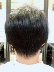 -付军剪艺