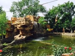 -静之湖湖畔餐厅