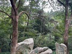 -敬亭山风景名胜区