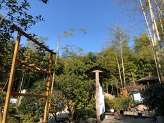 -江南天池高山汤泉城