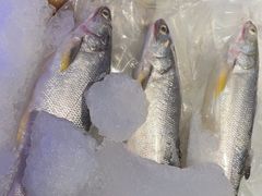 -大洋家·潮汕鱼鲜·花胶砂锅粥(天河东路店)
