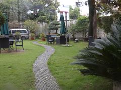 -大可堂普洱茶馆(襄阳南路馆)