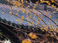 -慧因高丽寺