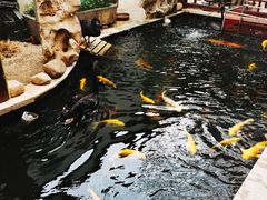 -湖鲜楼