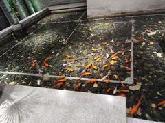 -大渔之观(安贞店)