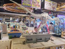 -卡通尼·Safari非洲探索乐园·生日会(金桥国际商业广场店)