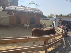 -HERRE·FARM 赫尔露营农场·团建聚会包场