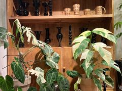 -自由生长植物工作室(深港花卉中心店)