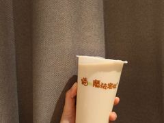 -猫的魔法密林(衣裳街店)
