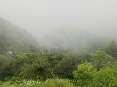 -泰山风景名胜区