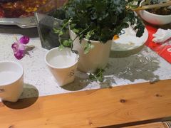 -大龙燚火锅