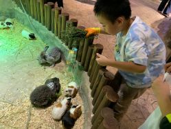 -宝燕乐园(闵行旗舰店)