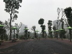 -东岳体育公园