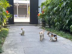 -广州兰圃