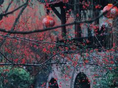 -棠湖公园