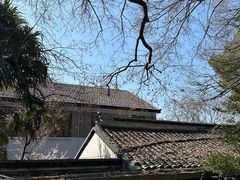 -绮园景区