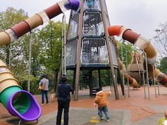 -枫香湖儿童公园