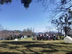 -福建鲤鱼洲酒店