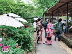 -东京浅草和服体验江户和装工房雅(浅草本店)
