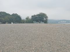 -阳宗海湿地