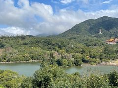 -深圳仙湖植物园