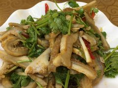 -白魁老号饭庄(交道口店)