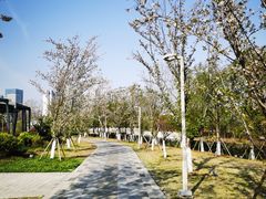 -澹台湖公园