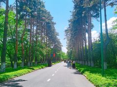 -黑龙江省森林植物园