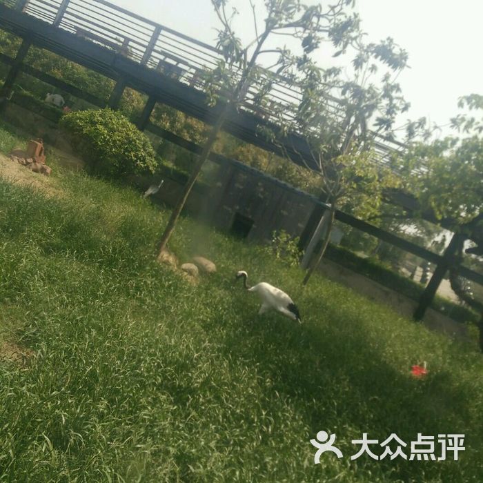 淮安市生態動物園